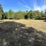 Terreno (Parcela) en venta en Cautín, Araucanía, Golbea, Cautín