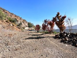  Land for sale in Santiago, Santiago, Santiago, Santiago