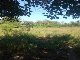  Land for sale in Baranoa, Atlantico, Baranoa