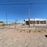  Land for sale in Anelo, Neuquen, Anelo