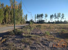  Terreno (Parcela) en venta en Rio Negro, General Roca, Rio Negro