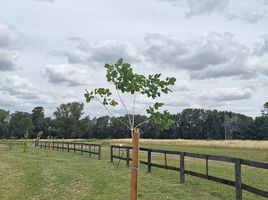  Terreno (Parcela) en venta en Baradero, Buenos Aires, Baradero