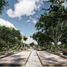  Land for sale in Mococha, Yucatan, Mococha