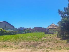  Land for sale in Carmen De Areco, Buenos Aires, Carmen De Areco