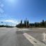  Land for rent in Confluencia, Neuquen, Confluencia