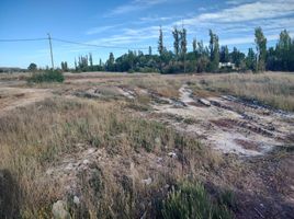  Terrain for sale in Juan Domingo Perón International Airport, Confluencia, Confluencia