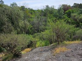  Terreno (Parcela) en venta en Guanajuato, Guanajuato, Guanajuato