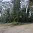  Land for sale in General Pueyrredon, Buenos Aires, General Pueyrredon