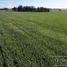  Land for sale in Balcarce, Buenos Aires, Balcarce
