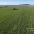  Land for sale in Balcarce, Buenos Aires, Balcarce