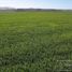  Land for sale in Balcarce, Buenos Aires, Balcarce
