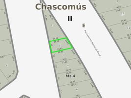  Grundstück zu verkaufen in Chascomus, Buenos Aires, Chascomus