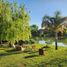 3 Bedroom Villa for rent in Tigre, Buenos Aires, Tigre