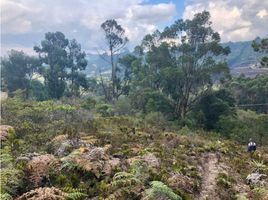  Terreno (Parcela) en venta en Chia, Cundinamarca, Chia