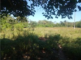  Land for sale in Baranoa, Atlantico, Baranoa