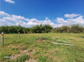  Terreno (Parcela) en venta en Armenia, Quindio, Armenia