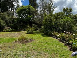  Terrain for sale in Envigado, Antioquia, Envigado