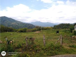  Land for sale in La Mesa, Cundinamarca, La Mesa