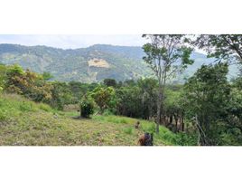  Terreno (Parcela) en venta en La Mesa, Cundinamarca, La Mesa