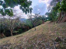  Terreno (Parcela) en venta en La Mesa, Cundinamarca, La Mesa