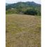  Land for sale in Palmira, Valle Del Cauca, Palmira