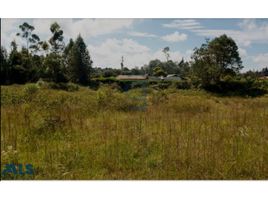  Land for sale in Guarne, Antioquia, Guarne