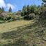  Land for sale in Rionegro, Antioquia, Rionegro