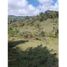  Land for sale in Rionegro, Antioquia, Rionegro