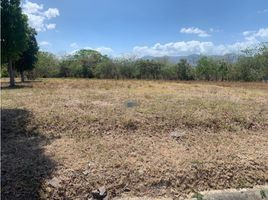  Terreno (Parcela) en venta en Chame, Panamá Oeste, Nueva Gorgona, Chame