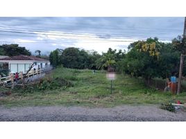  Terreno (Parcela) en venta en Panamá Oeste, Nueva Gorgona, Chame, Panamá Oeste