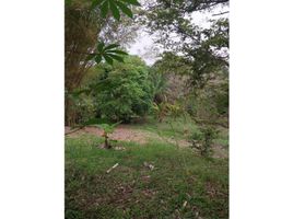  Land for sale in Colon, San Juan, Colon, Colon