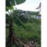  Land for sale in Colon, San Juan, Colon, Colon