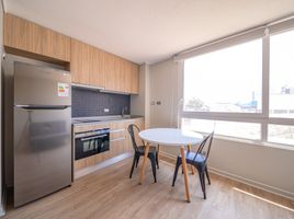 1 Habitación Apartamento en alquiler en Santiago, Santiago, Santiago, Santiago