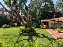 在Morelos出售的1 卧室 屋, Cuernavaca, Morelos