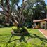 1 Bedroom House for sale in Cuernavaca, Morelos, Cuernavaca, Morelos