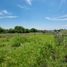  Land for sale in Santa Maria, Cordoba, Santa Maria