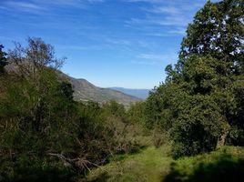  Terreno (Parcela) en venta en Melipilla, Santiago, Curacavi, Melipilla