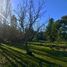  Terreno (Parcela) en venta en Ñuble, Portezuelo, Itata, Ñuble