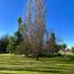  Terreno (Parcela) en venta en Ñuble, Portezuelo, Itata, Ñuble