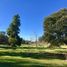  Terreno (Parcela) en venta en Ñuble, Portezuelo, Itata, Ñuble