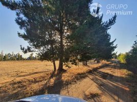 Estudio Casa en venta en Ñuble, Chillan, Diguillín, Ñuble