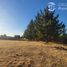 Estudio Casa en venta en Ñuble, Chillan, Diguillín, Ñuble