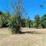  Land for sale in Llanquihue, Los Lagos, Puerto Varas, Llanquihue