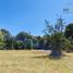  Land for sale in Llanquihue, Los Lagos, Puerto Varas, Llanquihue