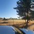 Terreno (Parcela) en venta en Chile, Chillan, Diguillín, Ñuble, Chile