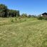  Terreno (Parcela) en venta en Maule, Yerbas buenas, Linares, Maule