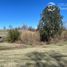  Terreno (Parcela) en venta en Araucanía, Lautaro, Cautín, Araucanía