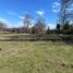  Terreno (Parcela) en venta en Araucanía, Lautaro, Cautín, Araucanía