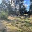  Terreno (Parcela) en venta en Chile, Collipulli, Malleco, Araucanía, Chile