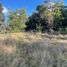  Land for sale in Collipulli, Araucania, Collipulli